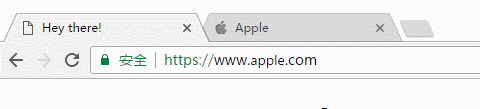 给你介绍一个假的苹果网站，能肉眼看出来算我输！