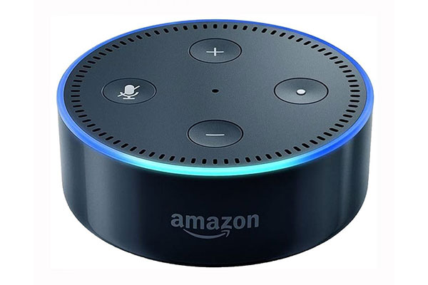 新到货狗啃垃圾成色亚马逊音响amazon Echo Dot 2nd二代alexa 智能音箱声控智能家居 青州小熊